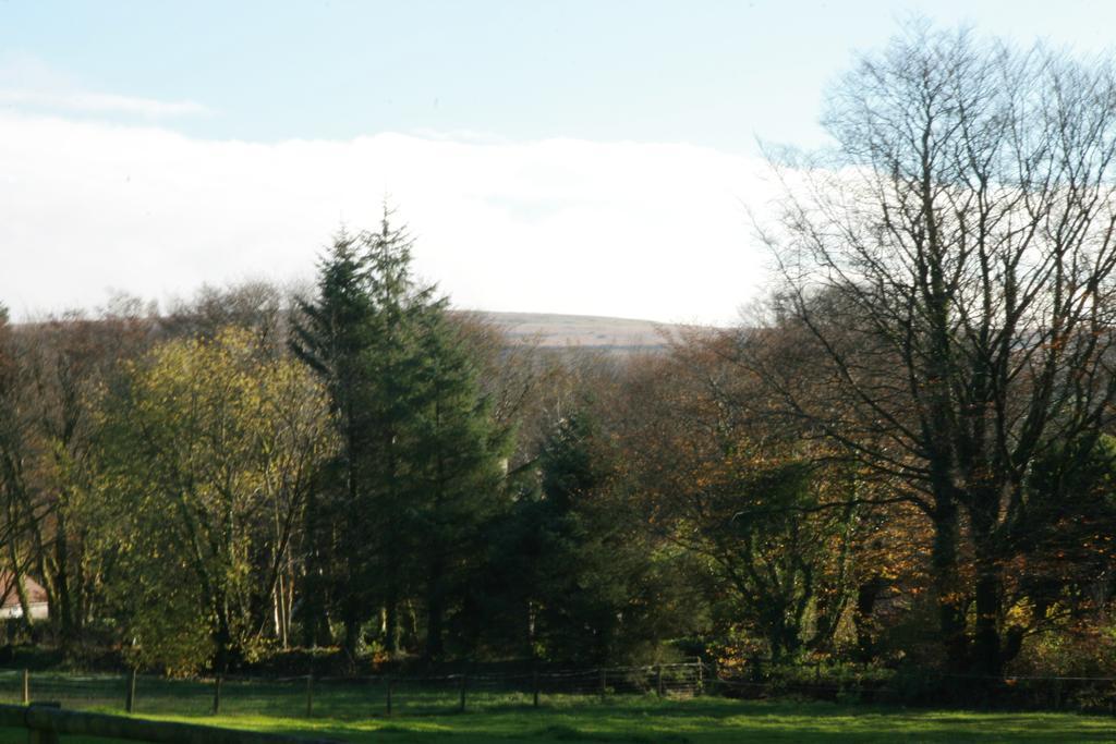 Lydford House Hotel Eksteriør billede